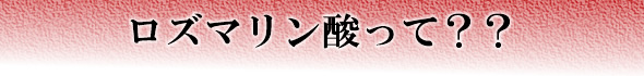 梅干し,梅,青梅,梅肉エキス,紀州南高梅干通販の専門店 - 深見梅店 - 紫蘇梅酢,ロズマリン酸